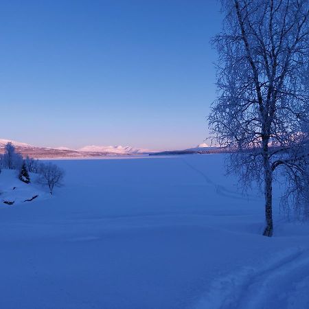 Villmarksgard Tommerstue Hattfjelldal 外观 照片