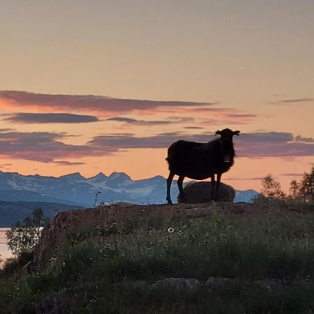 Villmarksgard Tommerstue Hattfjelldal 外观 照片