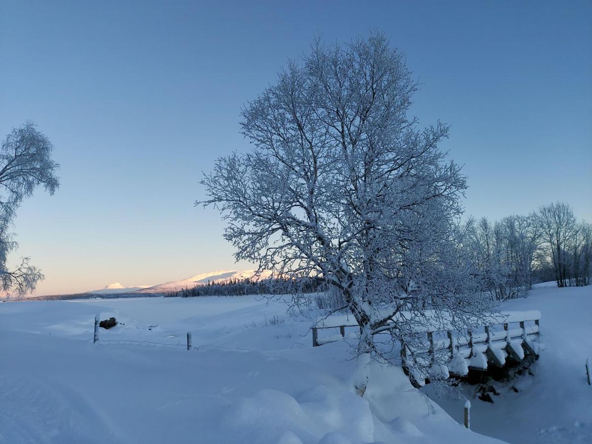 Villmarksgard Tommerstue Hattfjelldal 外观 照片