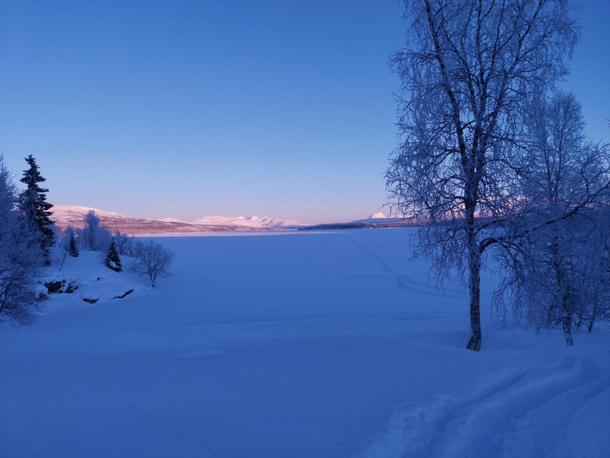 Villmarksgard Tommerstue Hattfjelldal 外观 照片