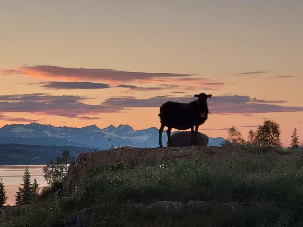 Villmarksgard Tommerstue Hattfjelldal 外观 照片